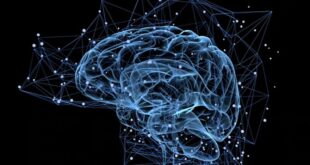 IBM Watson: la inteligencia artificial que hace perfil de personalidad