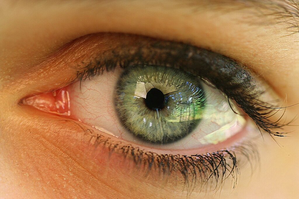 Desarrollan ojo biónico para dar la vista a los ciegos