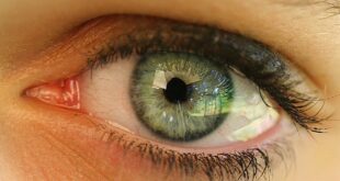 Desarrollan ojo biónico para dar la vista a los ciegos