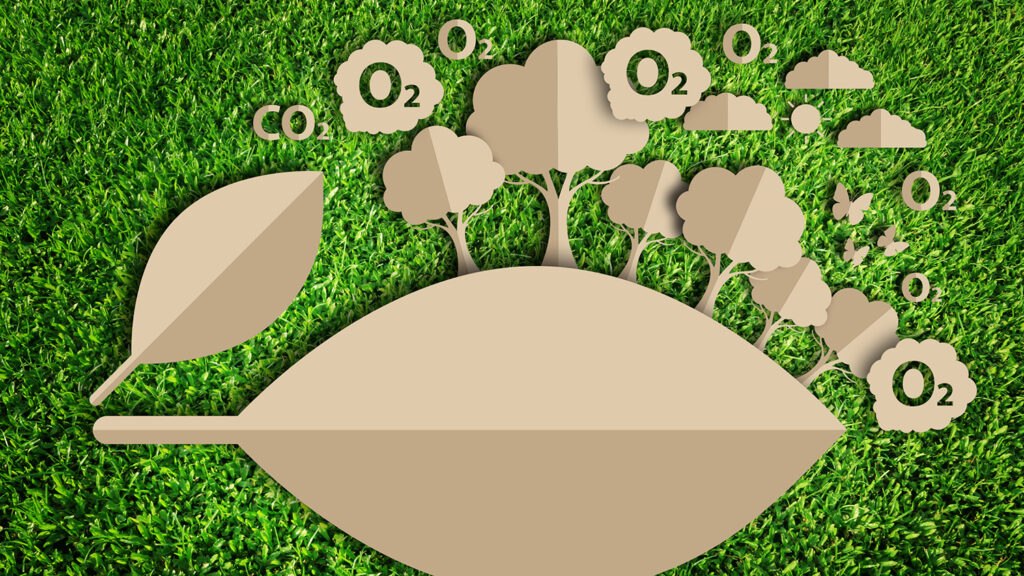 Desarrolladores crean software de código abierto para ayudar a los investigadores de IA a reducir la huella de carbono