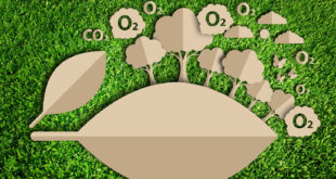 Desarrolladores crean software de código abierto para ayudar a los investigadores de IA a reducir la huella de carbono