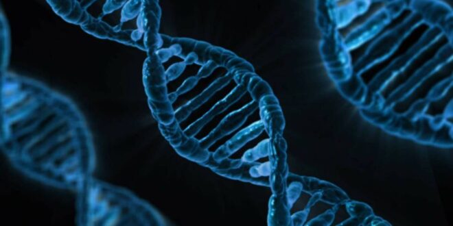 Presentan la plataforma impulsada por inteligencia artificial para edición del genoma