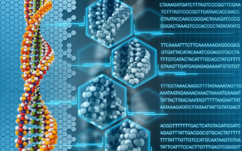 Aprendizaje automático genera genomas realistas para humanos imaginarios