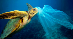 Universidad de Barcelona desarrolla algoritmo para detecta plásticos en el oceáno desde el aire