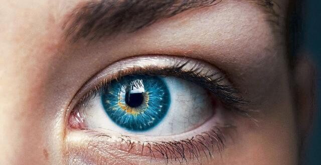Aprendizaje profundo ayuda a reducir la retinopatía diabética