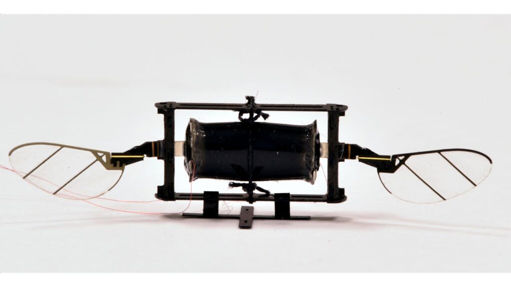 Dron del MIT imita a los insectos para sortear colisiones