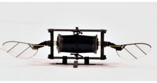 Dron del MIT imita a los insectos para sortear colisiones