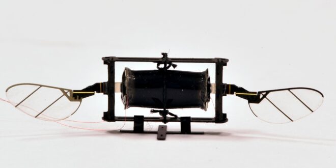 Dron del MIT imita a los insectos para sortear colisiones