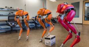 Cassie: robot que se enseñó a sí mismo a caminar