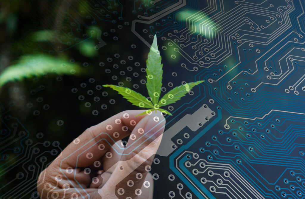 ¿Cómo incursiona la inteligencia artificial en la industria del cannabis medicinal? Luis Doporto explica