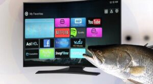 escamas-de-pescado-TV