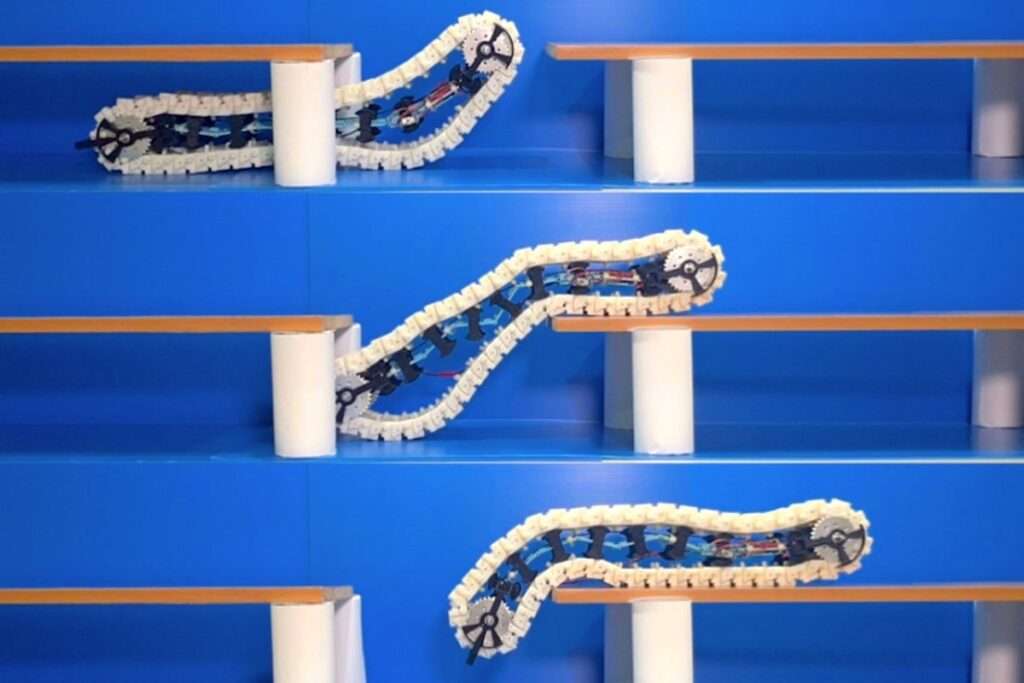 robot oruga