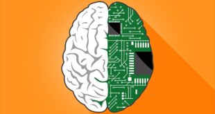 Una Inteligencia Artificial logra imitar la arquitectura neuronal