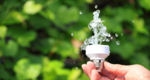 Construyen un ‘árbol artificial’ para obtener energía