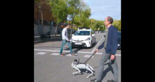 Invidentes ya podrán usar la ayuda de un perro-robot