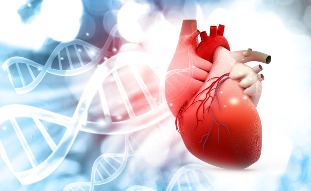 La IA puede señalar la enfermedad cardiaca valvular con precisión