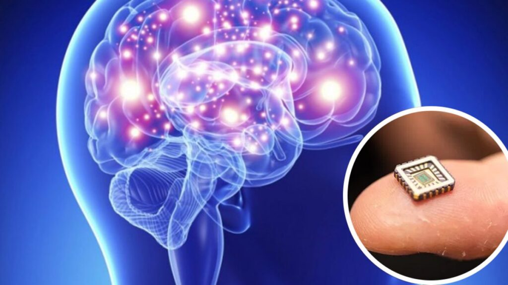 Integran los sentidos para aplicarlo a la inteligencia artificial
