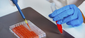 biomateriales