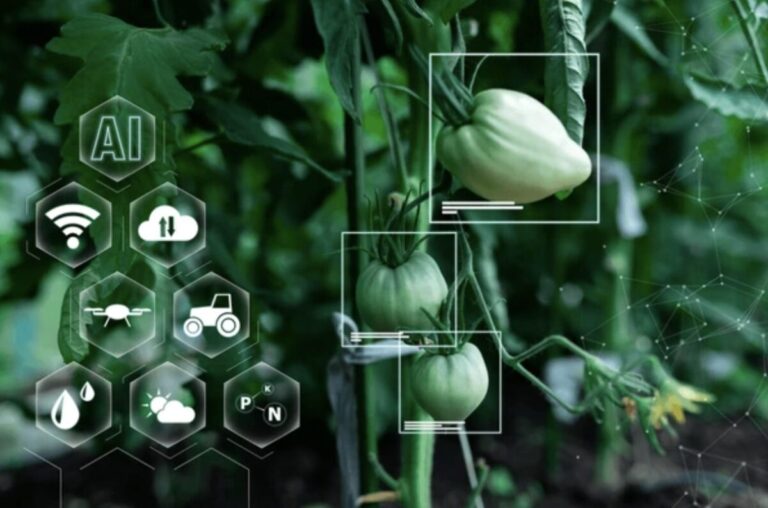 Expertos de Grupo Kosmos subrayan que la incorporación de la Inteligencia Artificial (IA) y otras innovaciones digitales está redefiniendo el origen, el sabor y la forma de los alimentos.