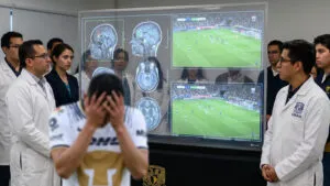 cerebro fut