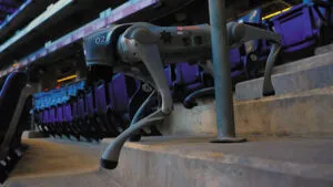 perros robot