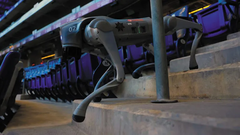 perros robot