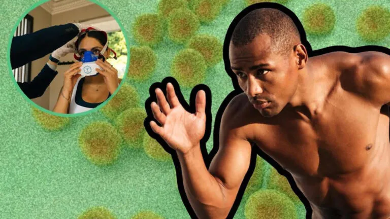 bacteria