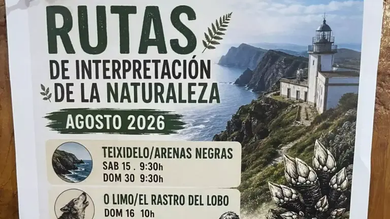 cartel
