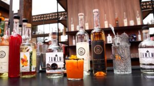 Mundo Mezcal y Banco Azteca fortalecen la agroindustria del agave