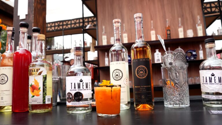 Mundo Mezcal y Banco Azteca fortalecen la agroindustria del agave