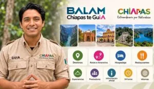 guía